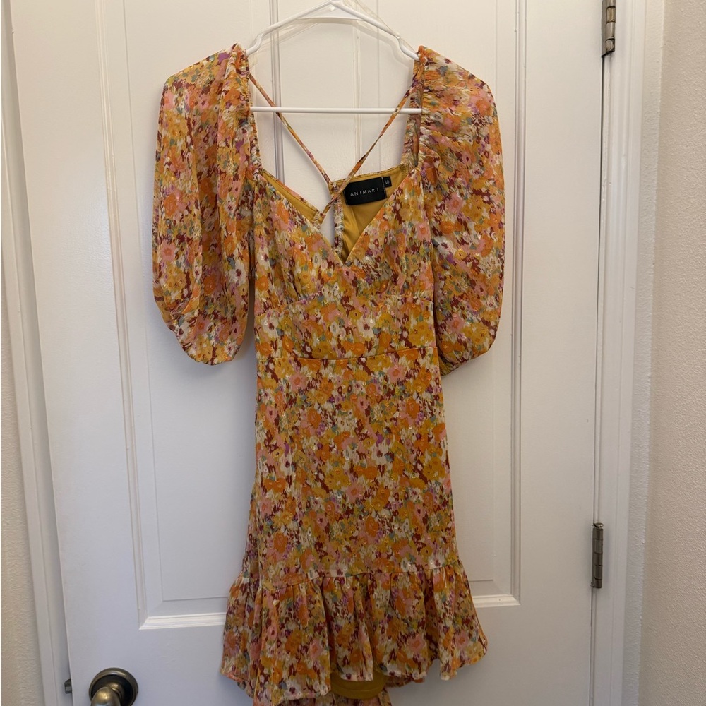 Animari Floral Mini Dress